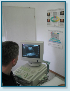 Das Ultraschallgerät im Einsatz