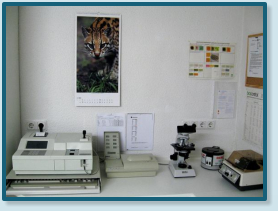 Ein Ausschnitt unseres Laborbereiches